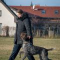obedience