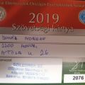 2019 szövetségi kártya