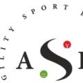 asdas